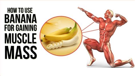 Bananas: Muscle & Fertility Boost for Men