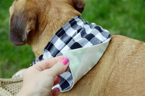 over the collar dog bandana pattern Google Search Dog bandana
