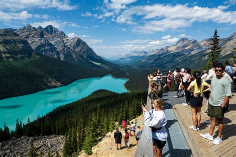Banff tour guide