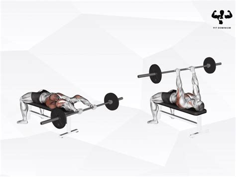 Barbell Pull-Over Diagram