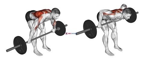 Barbell Row Bent Over