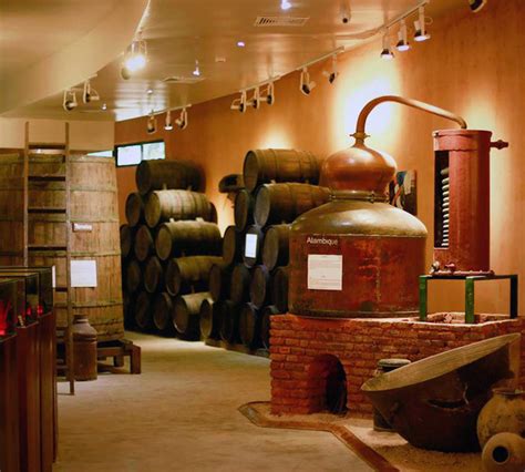 Barceló Rum Factory Tour: Your San Pedro De Macoris Adventure