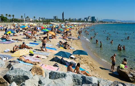 Barcelona sunbathing