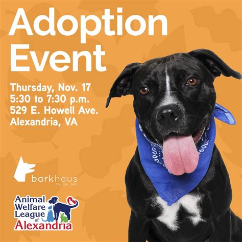 Bark Animal Rescue Alexandria LA- Saving Lives and Finding Forever Homes for Four-Legged Friends