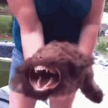 Barking Dog Meme