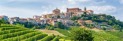 Barolo Wine Tasting