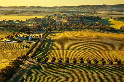 Barossa Valley Vineyards