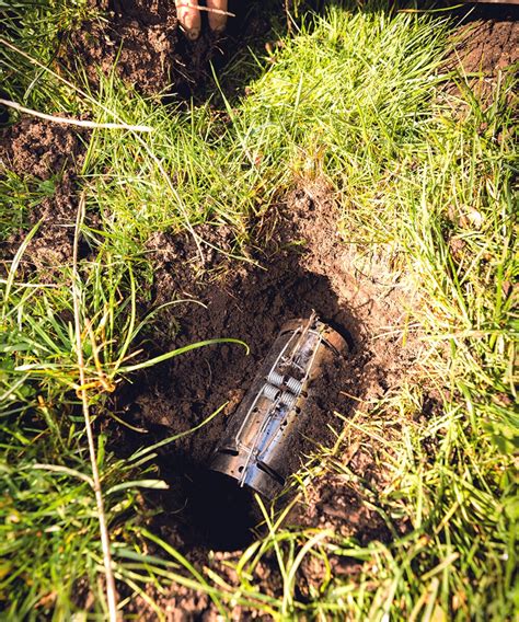 Barrier Methods to Keep Moles Out