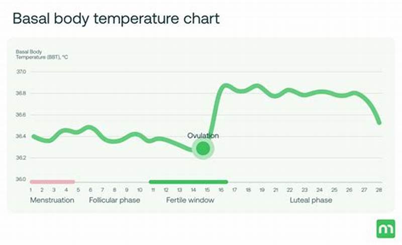 Basal Body Temp Chart Example