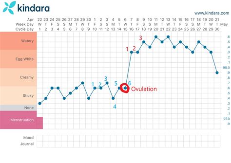 Basal Temp Chart Not Pregnant
