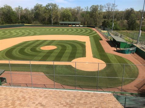 Baseball Field Mow Patterns