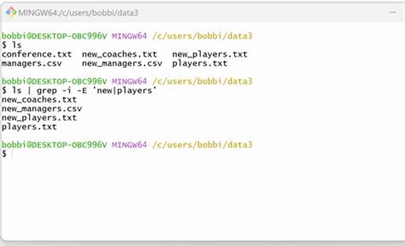 Bash Delete Files Matching Pattern
