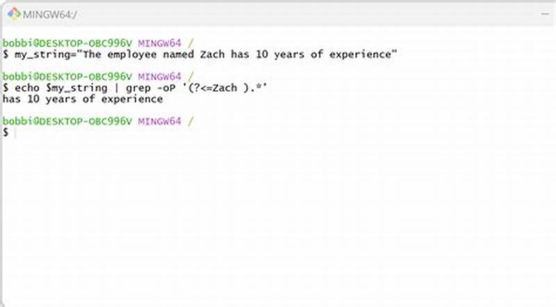 Bash Extract Pattern From String