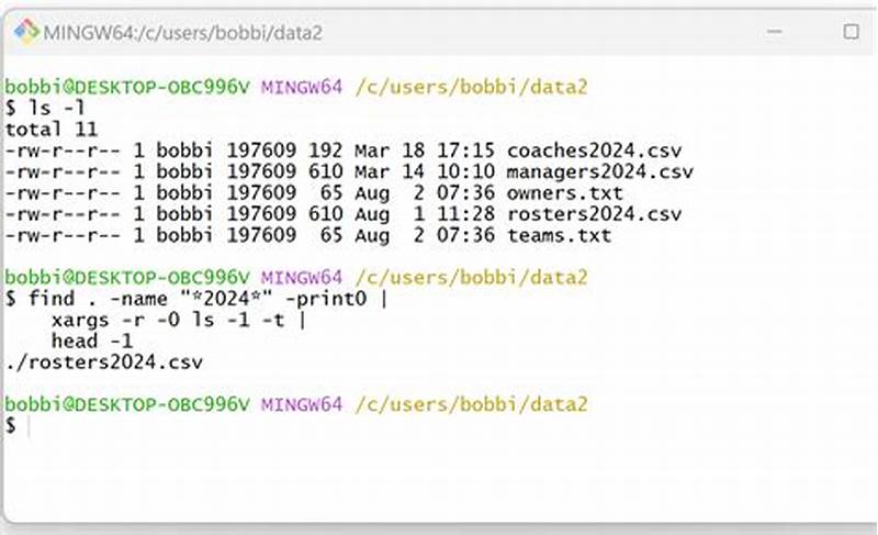 Bash Find File By Pattern