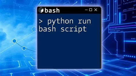 Bash Run Script