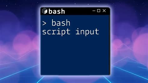 Bash Script User Input