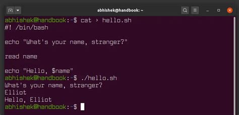 Bash Script Variables