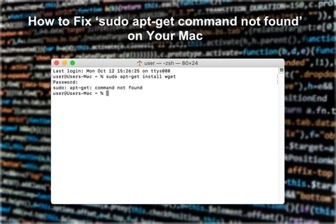 Bash Sudo Command Not Found Mac