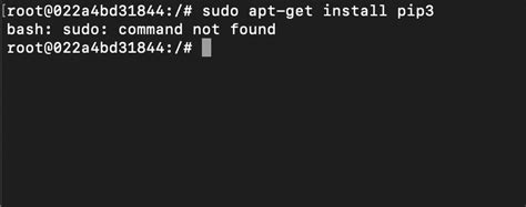 Bash Sudo Command Not Found Ubuntu