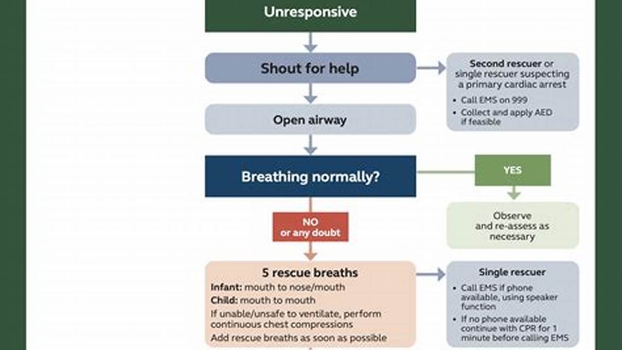Basic Life Support 2024 Pdf