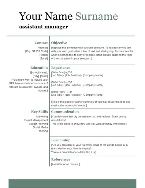 Basic Resume Template Minimal CV Template Modern Resume Etsy