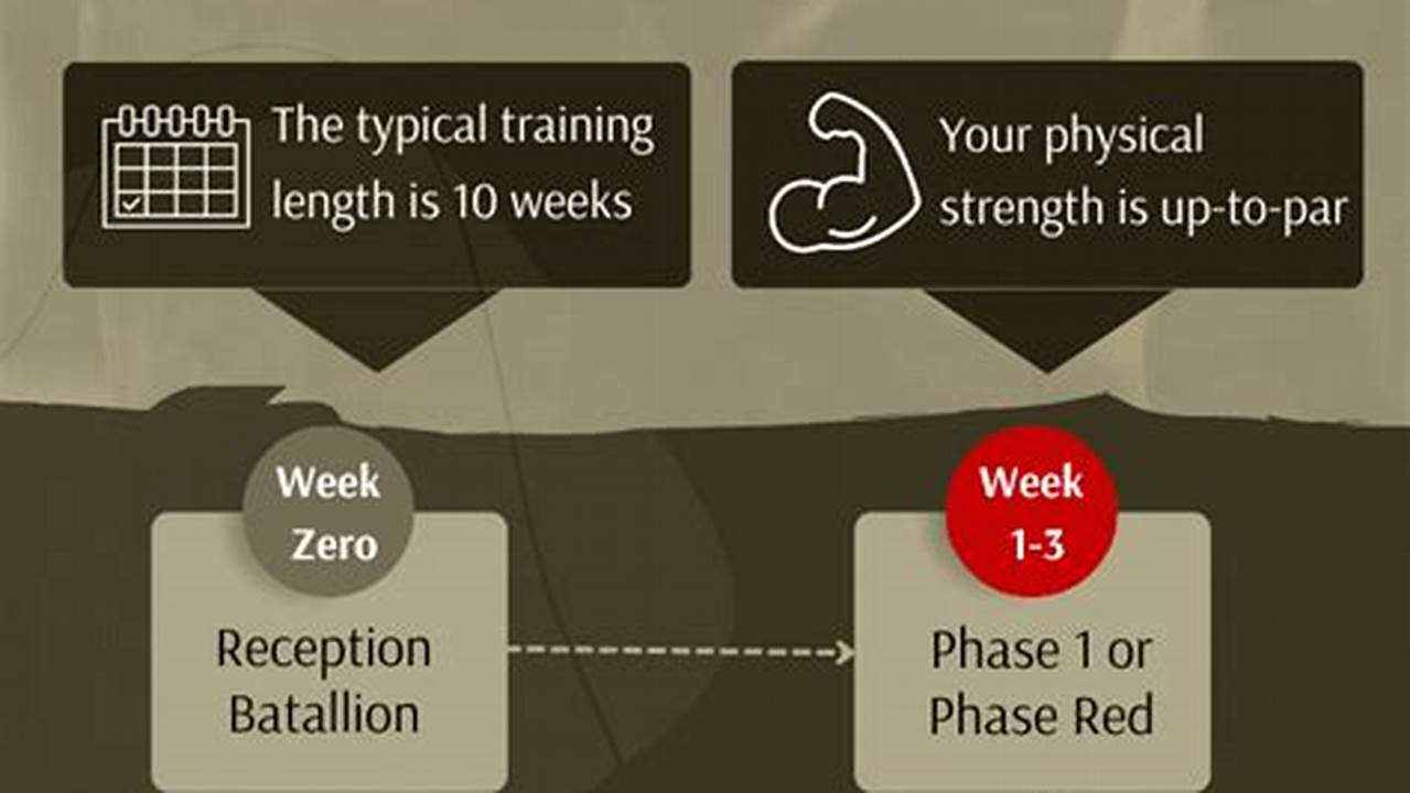 Basic Training Dates 2024