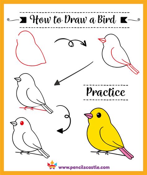 Basic Bird Drawing Template