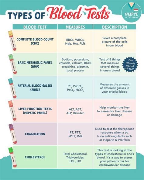 Basic Blood Type Test