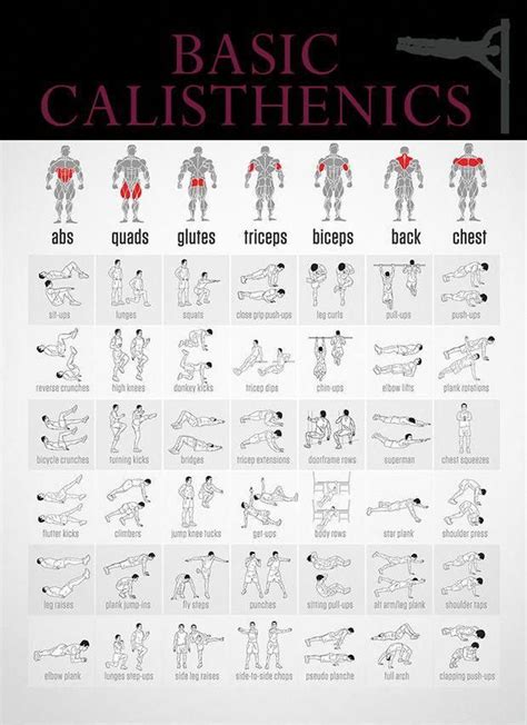 Basic Calisthenics Workout
