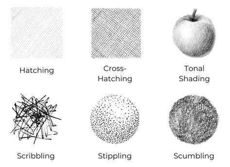 Basic Drawing Techniques
