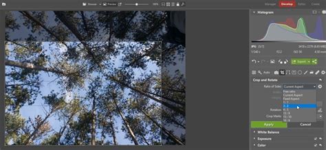 Basic Edits: Cropping, Rotating, and Filters