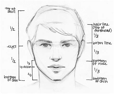 Basic Face Drawing Techniques