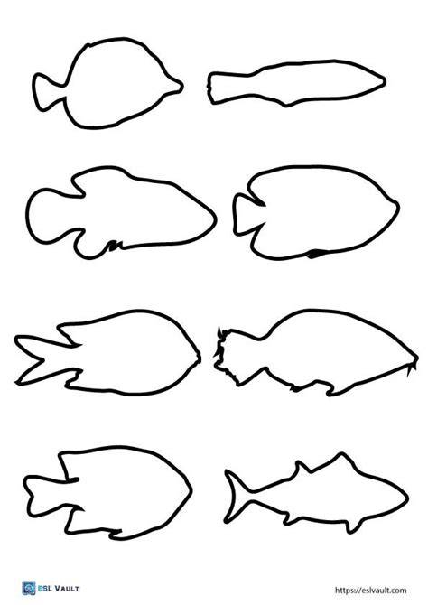Basic Fish Shapes