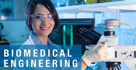 Basic Knowledge Of Biomedical Engineering