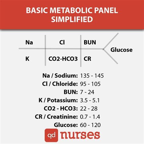 Basic Metabolic Panel Chart