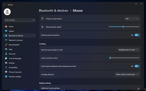 Basic Mouse Options in Settings App