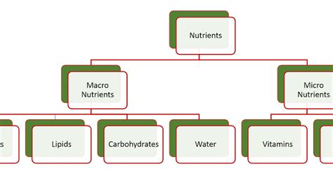 Concept Map Nutrients