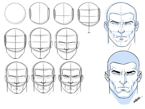 Basic Shapes for Drawing Male Faces