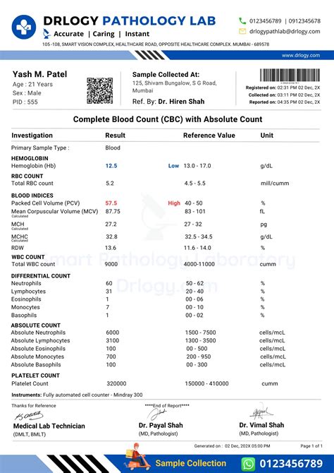 Basic Structure of a Medical Test Report sample