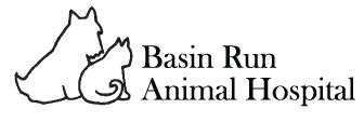 Discover Premier Pet Care Services at Basin Run Animal Hospital - Trusted Veterinarian Near You