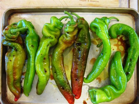 Basque peppers Gernika