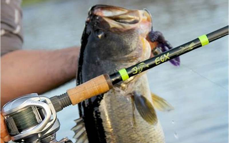 Bass Fishing Rod Care