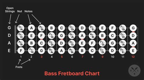 Bass Guitar Fret Chart