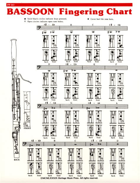 Bassoon Fingering Chart: A Comprehensive Guide To Mastering The Instrument