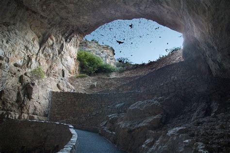 Bat Cave Exploration