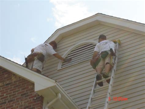 Bat-Proofing Your Home Permanently