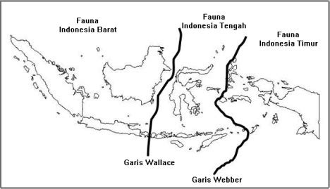 Batas Wilayah Flora Indonesia Barat Dengan Indonesia Tengah Adalah