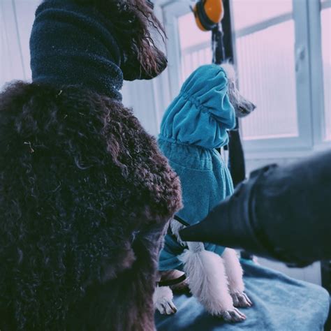 Bathing and Drying Techniques