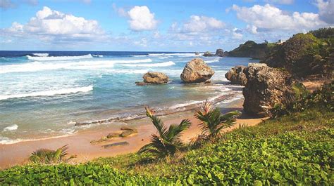 Bathsheba Barbados