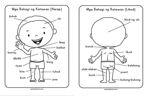 Batok Body Part In English